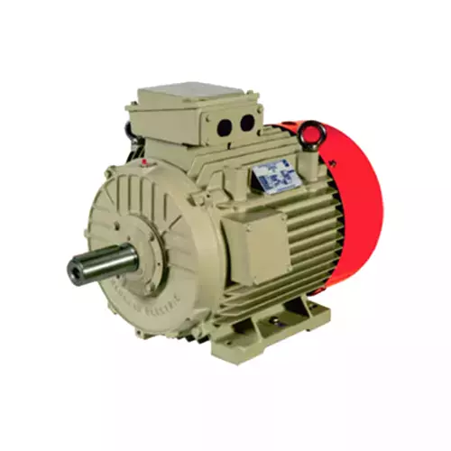 Buy Kirloskar Three Phase 3 HP 6 Pole Foot Mounted Induction Motor
