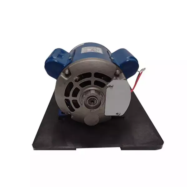 CG Power Induction Motor Single Phase 0.33 HP 4 Pole Foot Mounted, GF6102