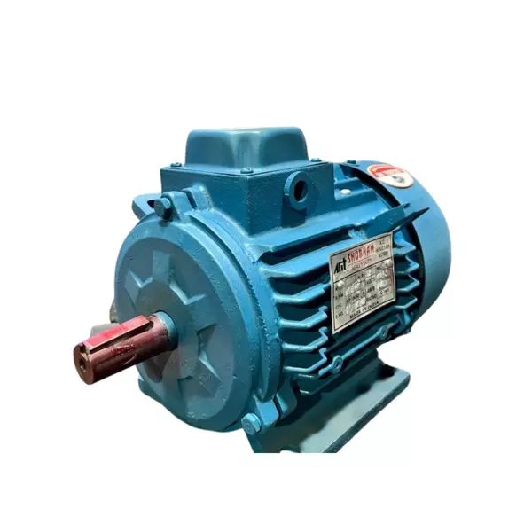 AMT 1 HP Single Phase 4 Pole Foot Mount Induction Motor, Frame Size 90S