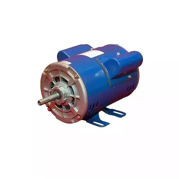 CG Power Induction Motor Single Phase 0.25 HP 4 Pole Foot Mounted, GF4453