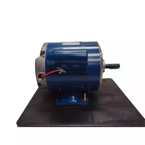 CG Power Induction Motor Single Phase 0.25 HP 4 Pole Foot Mounted, GF4453