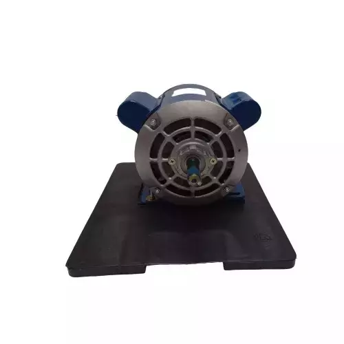 CG Power Induction Motor Single Phase 0.25 HP 4 Pole Foot Mounted, GF4453