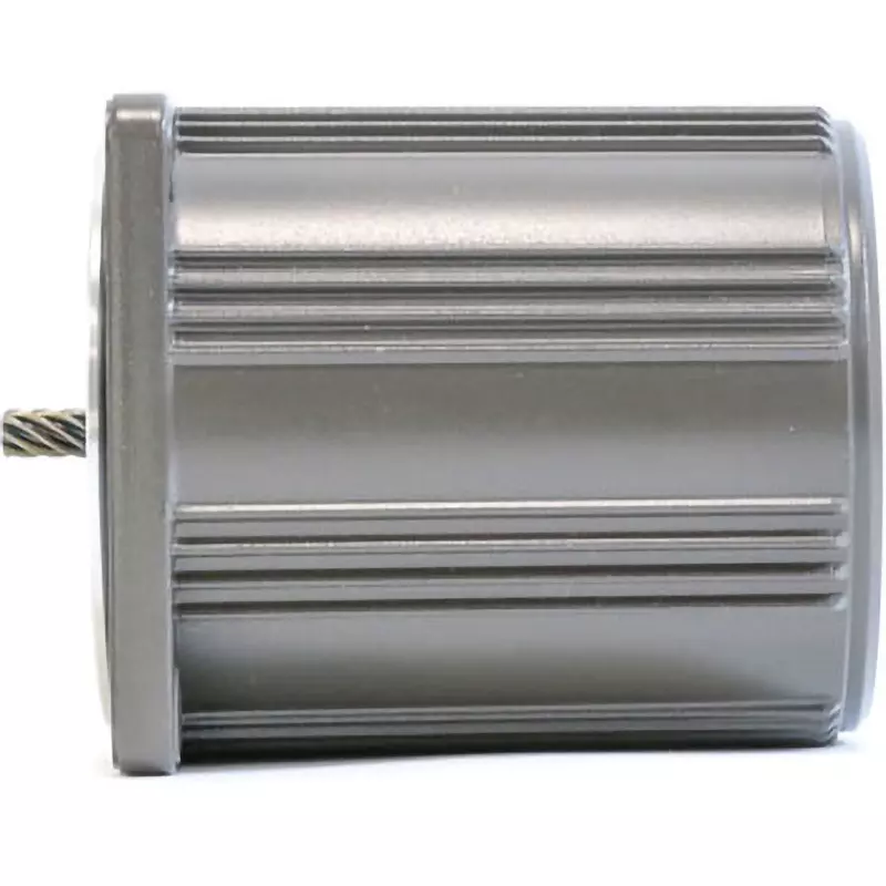 Panasonic Induction Motor Pinion Shaft Motor 100/100 V 0.015 kW, M71X15G4L