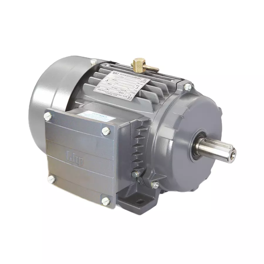 LHP Three Phase 12.5 HP 6 Pole Flange Mounted Squirrel Cage Induction Motor