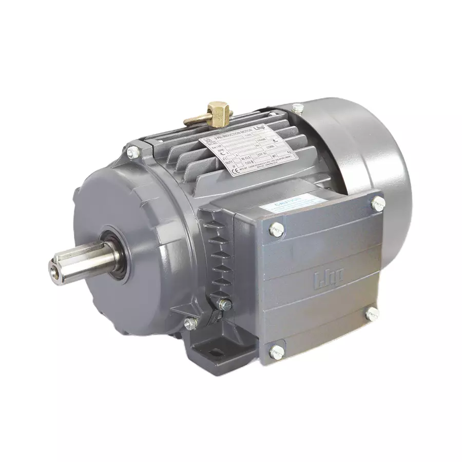 LHP Three Phase 100 HP 4 Pole Foot Mounted Squirrel Cage Induction Motor