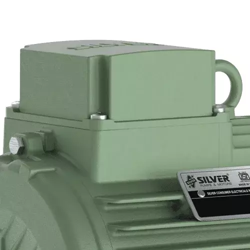 silver-induction-motor-three-pole-025-hp-4-pole-foot-mounted-ie2-im2ci0254p3b3f