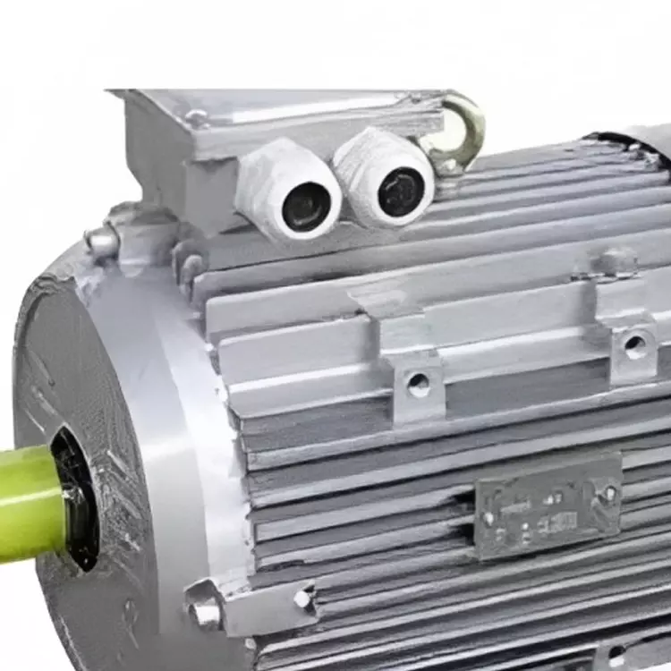 CG Power Three Phase 30 HP 6 Pole Foot Mounted IE2 Cast Iron Body Induction Motor