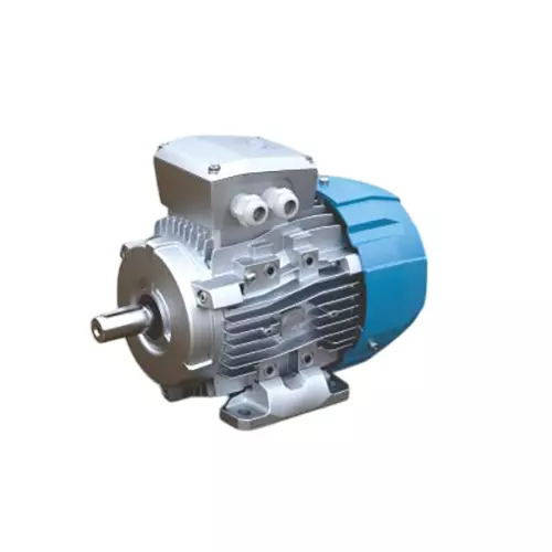 Rotomotive Three Phase Induction Motor IE2 Foot Mounted 2 Pole 0.25 HP Power & 63A Frame