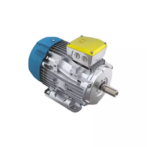 Rotomotive Three Phase Crane Duty Induction Motor Foot Mounted 6 Pole 1 HP Power, CRATAC80B-6