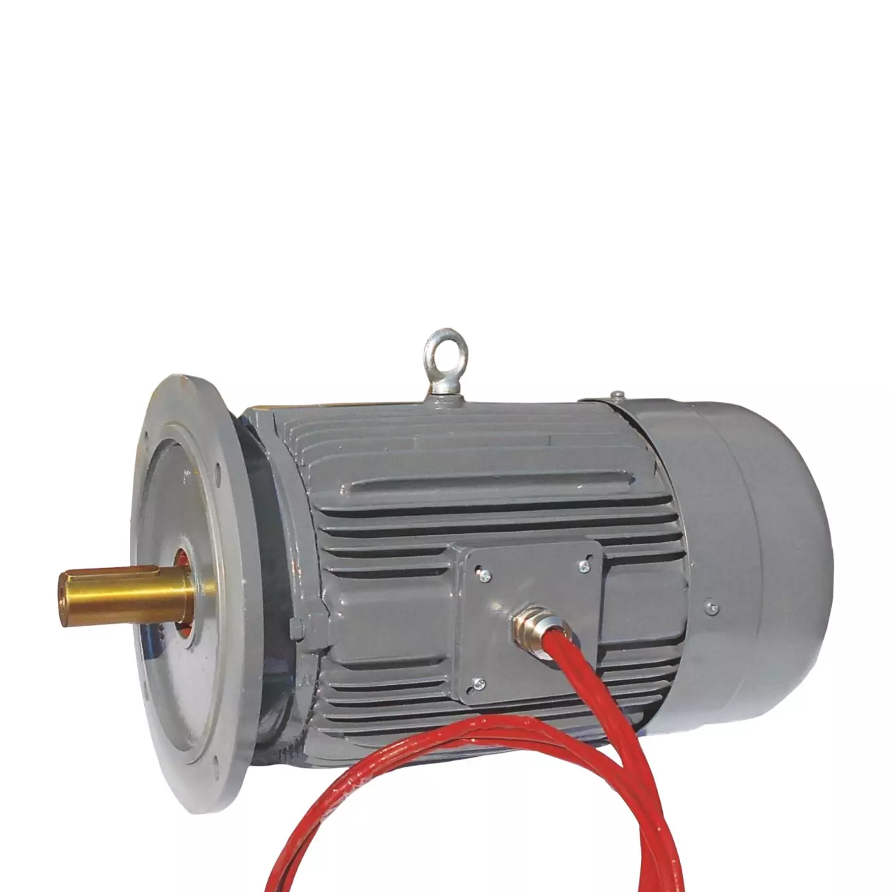 LHP Smoke Extraction Motors IE2 Foot Mounted (B3) 3 Phase 132S Frame 2 Pole 7.5 HP for Temperature Class upto 300 °C for 2 hrs