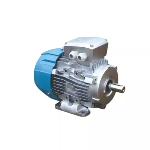 rotomotive-three-phase-induction-motor-ie2-foot-mounted-2-pole-035-hp-power-63b-frame