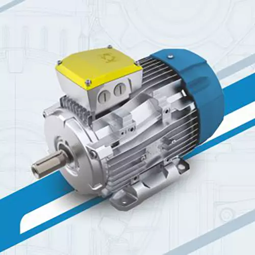 Rotomotive Three Phase Crane Duty Induction Motor Foot Mounted 4 Pole 1 HP Power, CRATAC80A-4