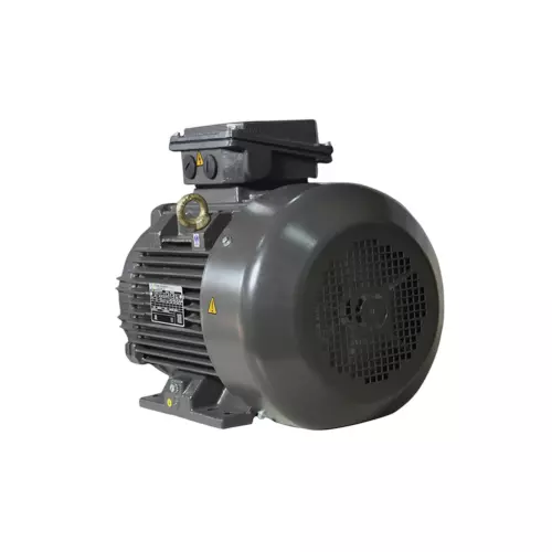 CG Power 10 HP Axelera Process Performance Squirrel Cage Induction Motor IE4 TEFC 3 Phase 4 Pole 1500 RPM, XABAAD09221AB1A01A