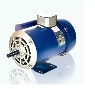 CG Power 6 Pole Vibrator Motor 960 RPM