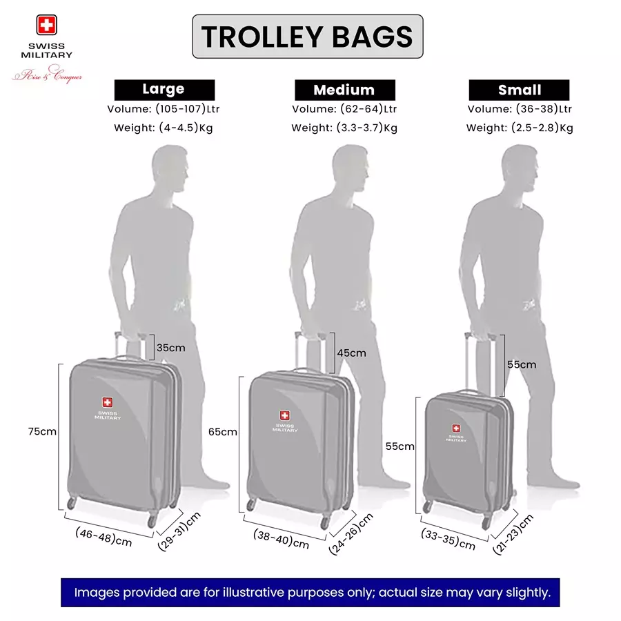SWISS MILITARY Arctic Elite 44 L Grey Polycarbonate Spinner Suitcase, ARCTIC_HTL142_GRY_55CM