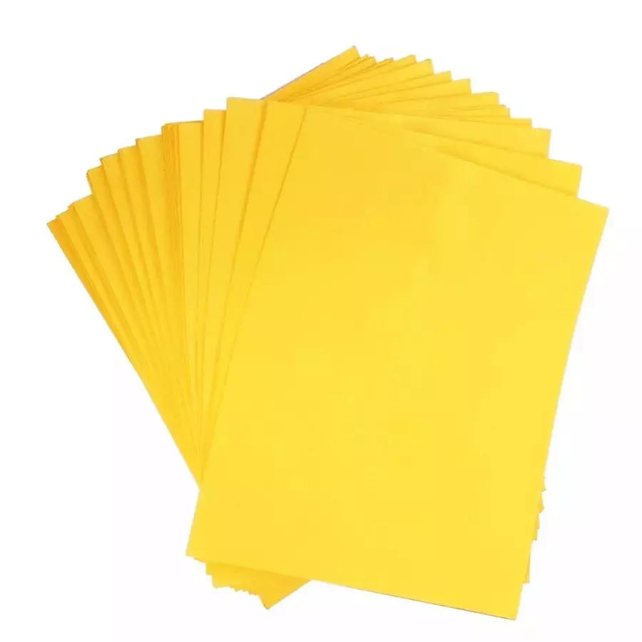 GENERIC Yellow Envelope with Lamination 10 x 12 inch (Pack of 500)
