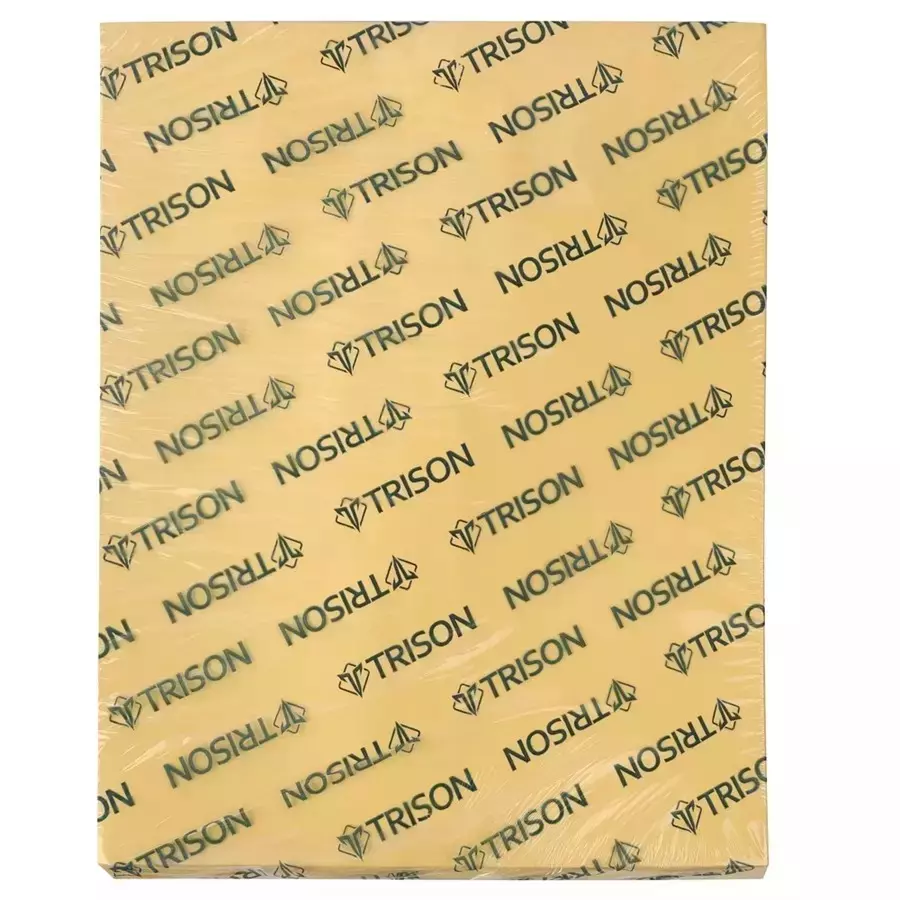 GENERIC Yellow Envelope with Lamination 10 x 12 inch (Pack of 500)