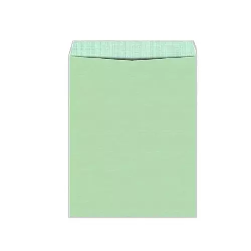 GENERIC Poly Net Envelop Size 10x12 inch Green (Pack of 50 Pcs)