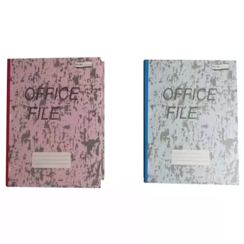 AAGAM Box File F/s Rectangle 36 Oz Fine Quality Board Assorted, RB-220 (Pack of 4)