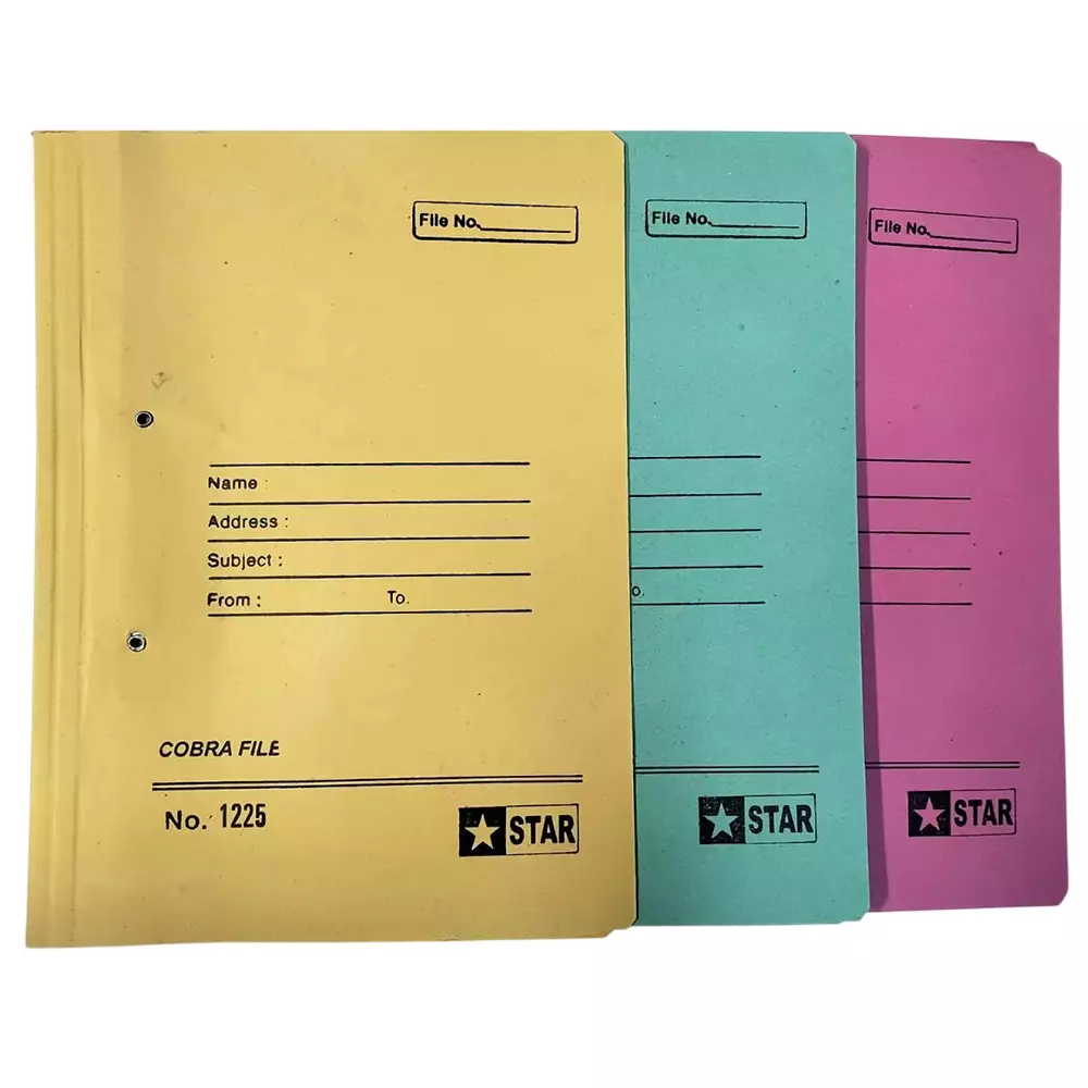 AAGAM Office File 450 GSM Rectangle Spring Clip Multicolor, CF-600 (Pack of 24)