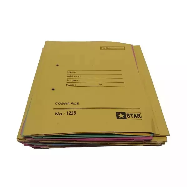 AAGAM Office File 450 GSM Rectangle Spring Clip Multicolor, CF-600 (Pack of 24)