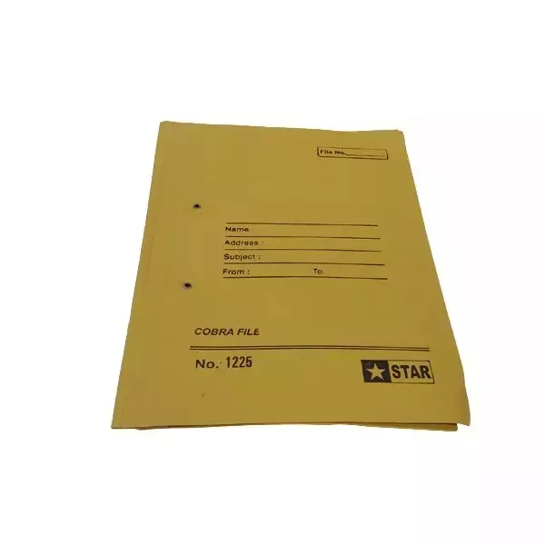 AAGAM Office File 450 GSM Rectangle Spring Clip Multicolor, CF-600 (Pack of 24)