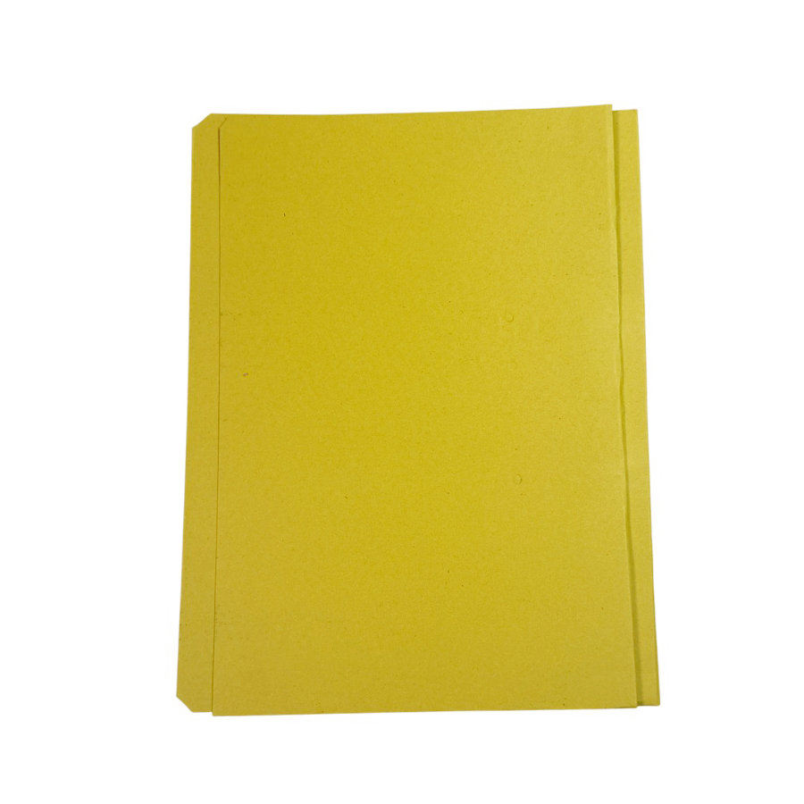 GENERIC 450 GSM Cobra File (Spring Clip) Assorted Color A4 Size (Pack of 10)