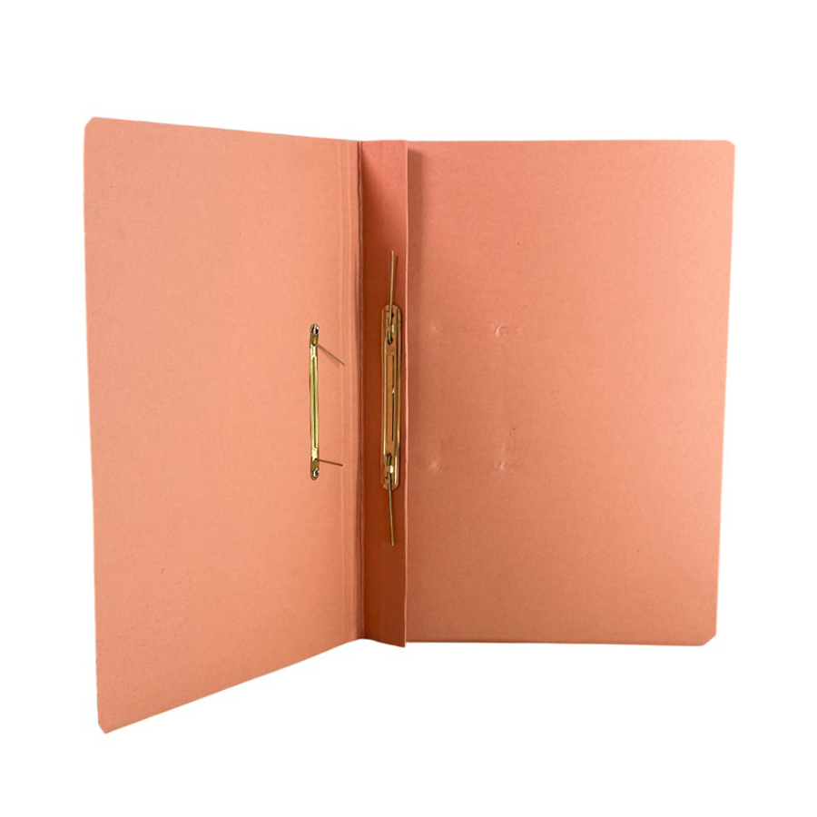 IB BASICS 310 GSM Cobra File (Spring Clip) Assorted Color A4 Size (Pack of 10)