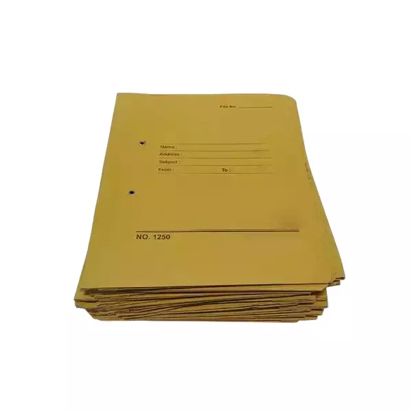 AAGAM Office File 540 GSM Rectangle Spring Clip Multicolor, CF-800 (Pack of 24)