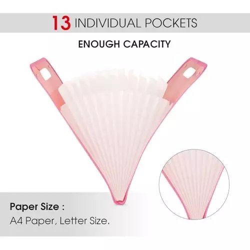 POLEN Vertical Fullscape Expanding File Folder With 13 Chain Pocket Polypropylene Pink