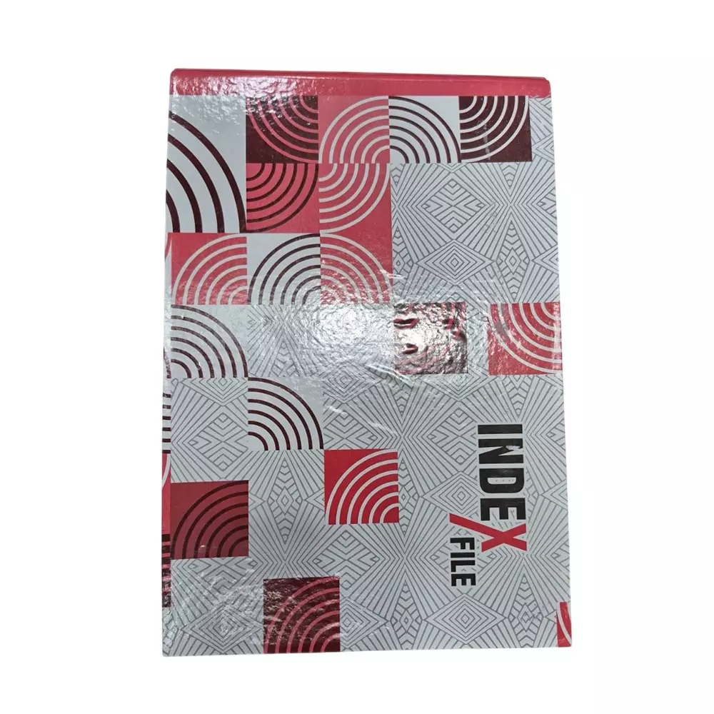 SSD Index File Assorted Color 178 mm Size (Pack of 8)