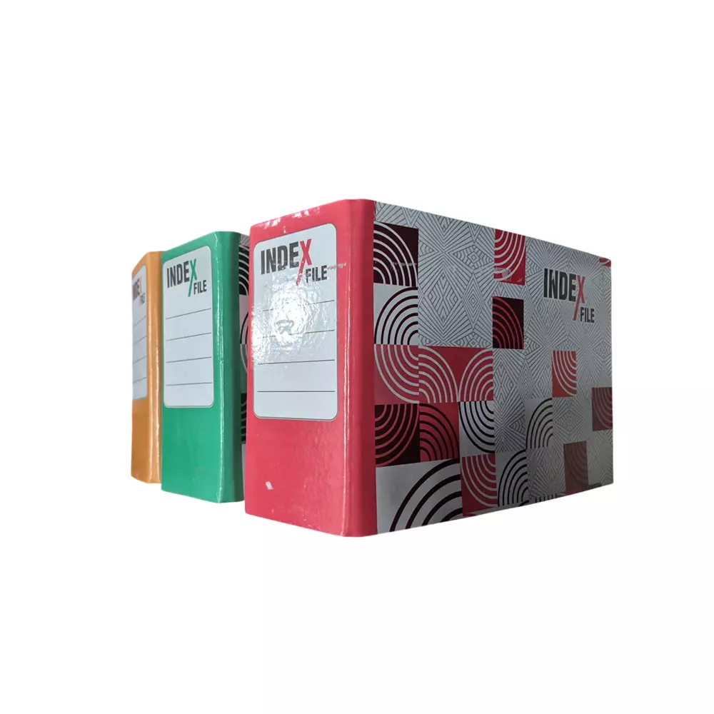 ssd-index-file-assorted-color-178-mm-size-pack-of-8