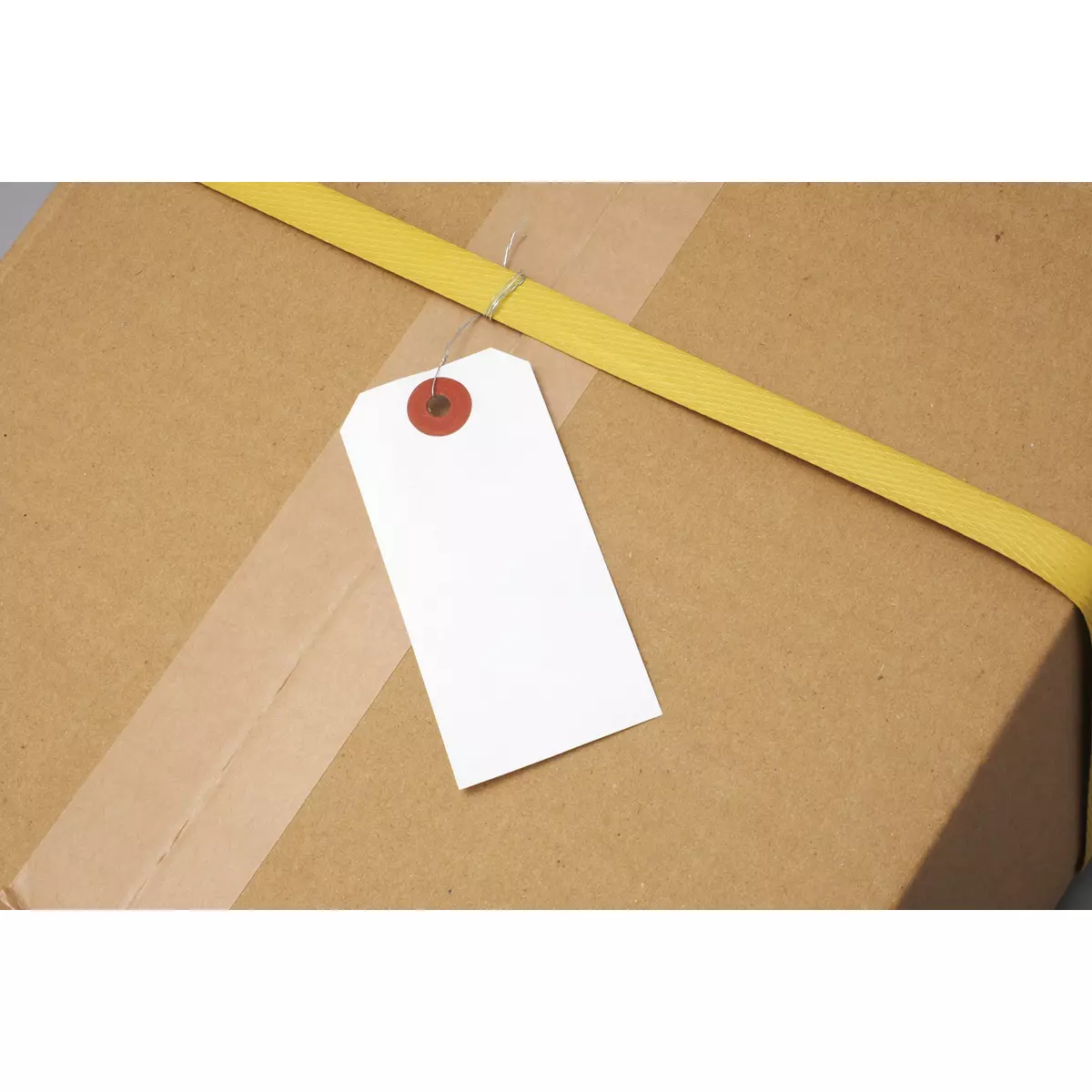 monotaro-30x60-mm-paper-white-wire-tag