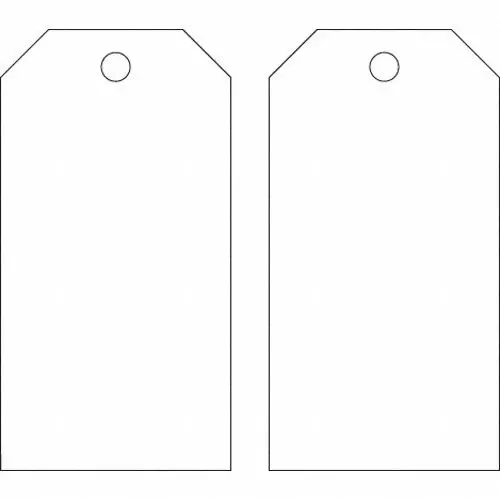 BRADY Plain 30 Points White Blank Shipping Tag, 6U898 (Pack of 25)