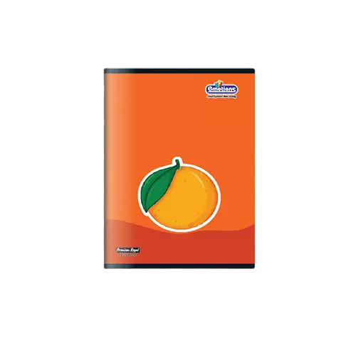 Emotions Premium Royal 3 in 1 Note Book 172 Page 18 x 24 cm Saddle Stitch Type, Design Assorted