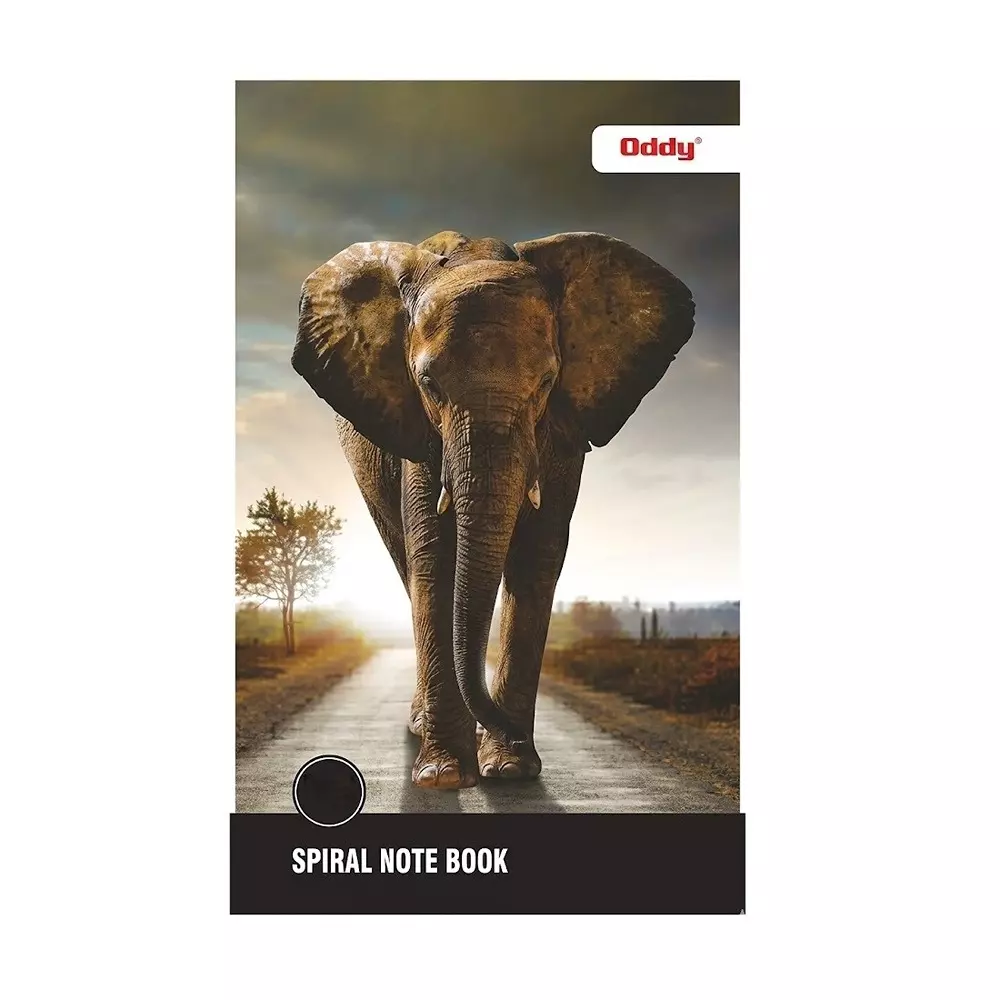 Oddy Spiral Paper Note Pad 40 Sheets White Paper for Home, Office & School, MSNP4440