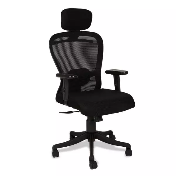 Ib basics Black Mesh Darial High Back Ergonomicanomic Desk Chair