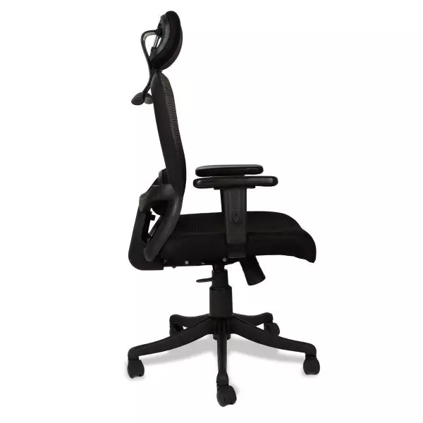 Ib basics Black Mesh Darial High Back Ergonomicanomic Desk Chair