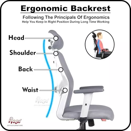 Rose Platinum Ergonomic Office Chair ‎High Back White & Grey India