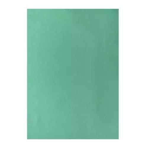 ruchira-tarang-green-colour-paper-a5-size-75-gsm-500-sheets-pack-of-1-ream