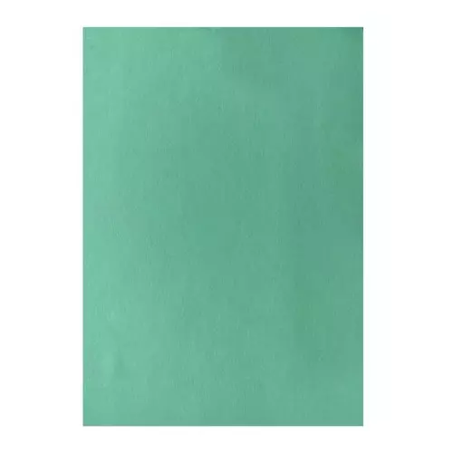 ruchira-tarang-green-coloured-paper-sheet-75-gsm-a4-size-pack-of-10000-sheet