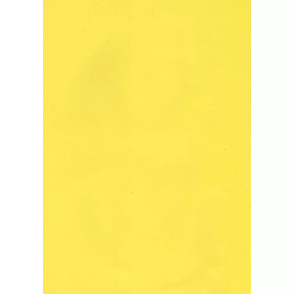 ruchira-tarang-yellow-coloured-paper-sheet-75-gsm-a4-size-pack-of-500-sheet