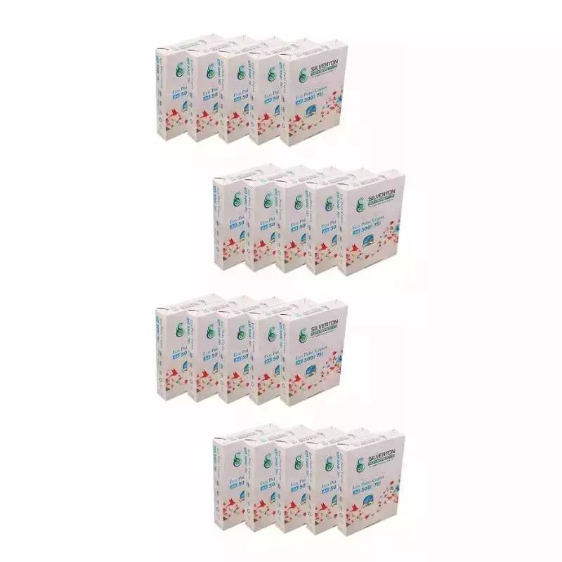 Silverton 75 GSM White A4 Size Copier Paper (Pack of 40 Ream)