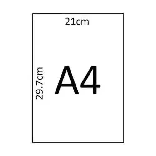 Naini Maple 80 GSM A4 Size Multipurpose Copier Paper 500 Sheets, White (Pack of 40 Ream)