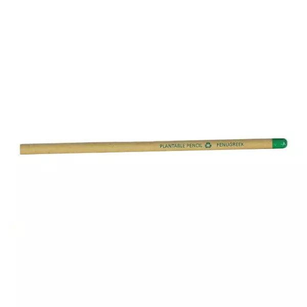 Bamboo Haat Brown Paper Seed Pencil for Home, Office & Schools, BH_BP_SPCL (Pack of 50 Pcs)