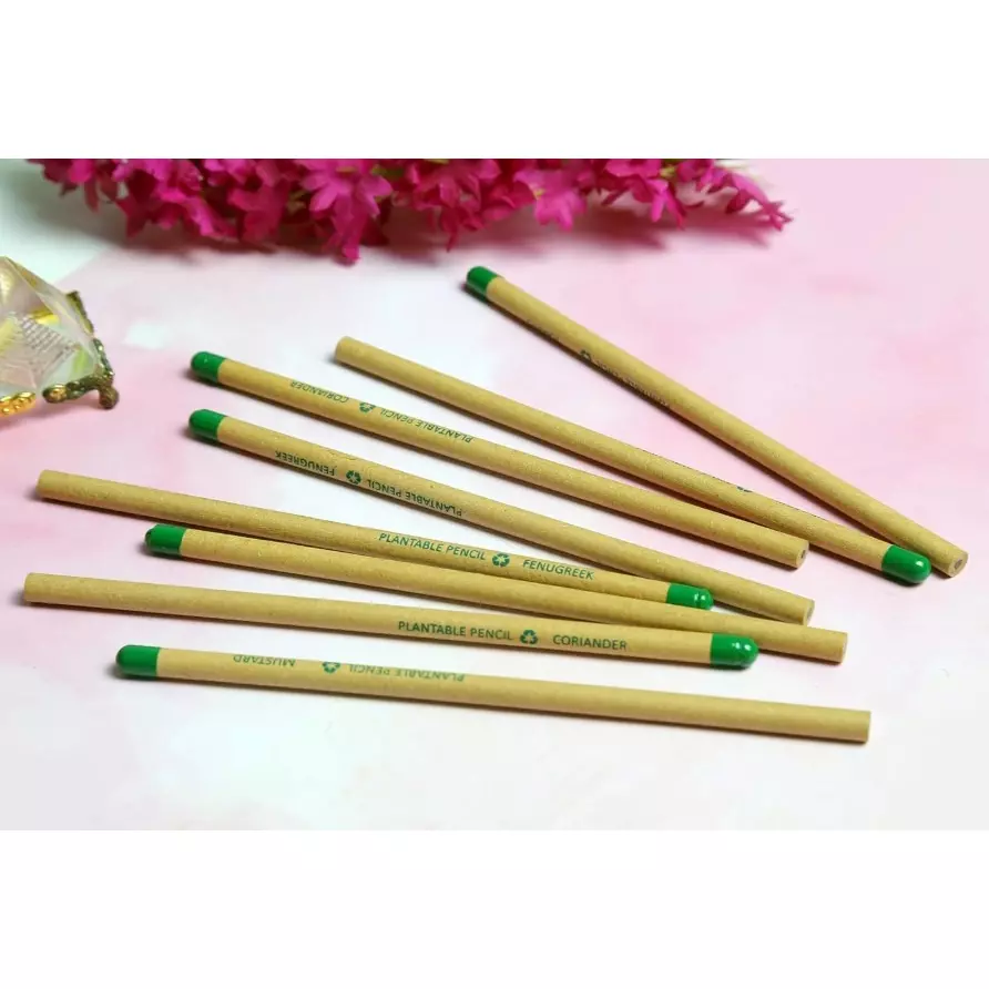 Bamboo Haat Brown Paper Seed Pencil for Home, Office & Schools, BH_BP_SPCL (Pack of 50 Pcs)