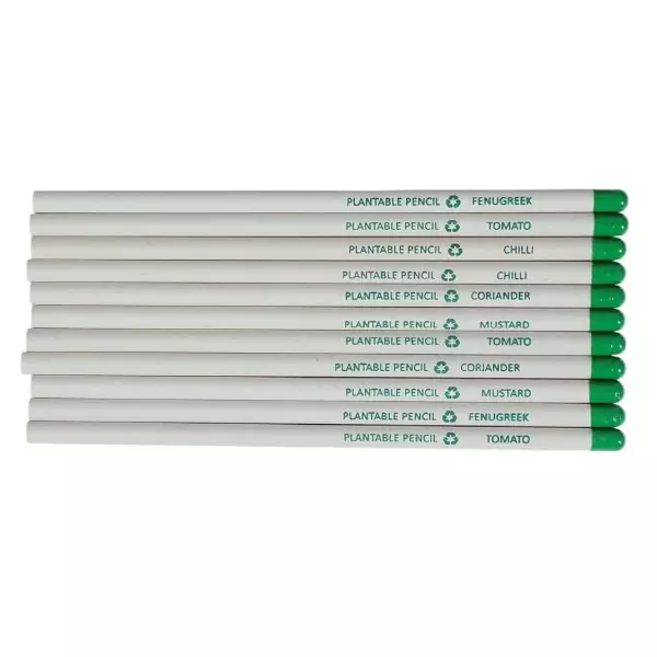 Bamboo Haat White Paper Seed Pencil for Home, Office & Schools, BH_WP_SPCL (Pack of 50 Pcs)