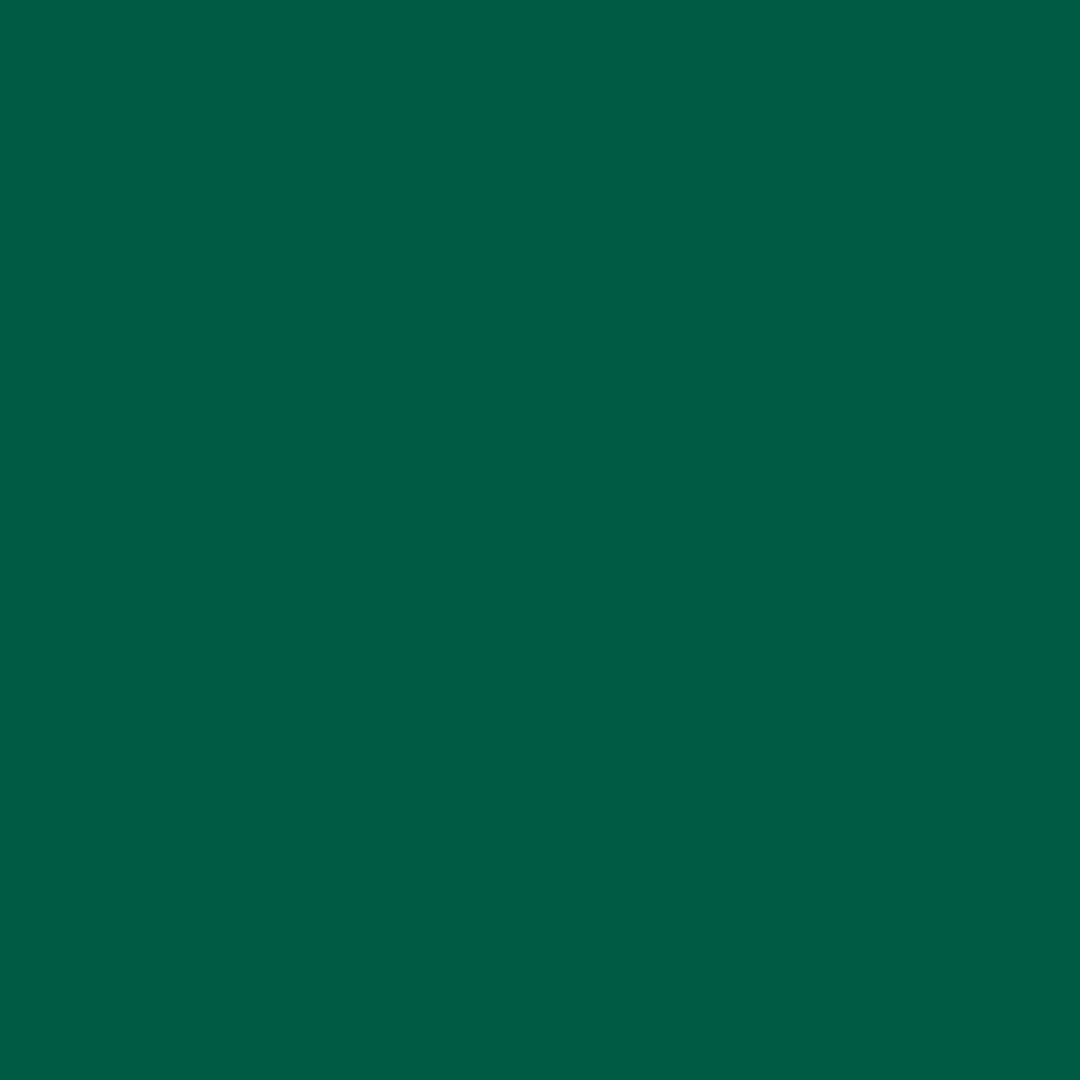 Stabilo Point 88 Fineliner Pen 0.4 mm Metal Enclosed Tip Pine Green, 88/53
