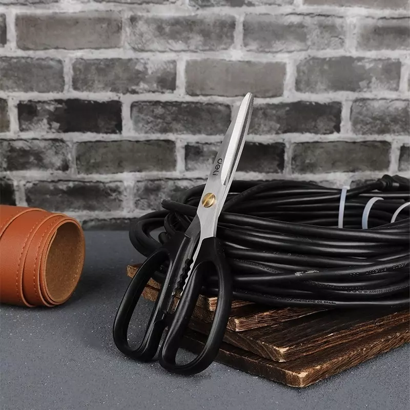 DELI Scissors 8 inch (195 mm), Stainless Steel, EDL2613