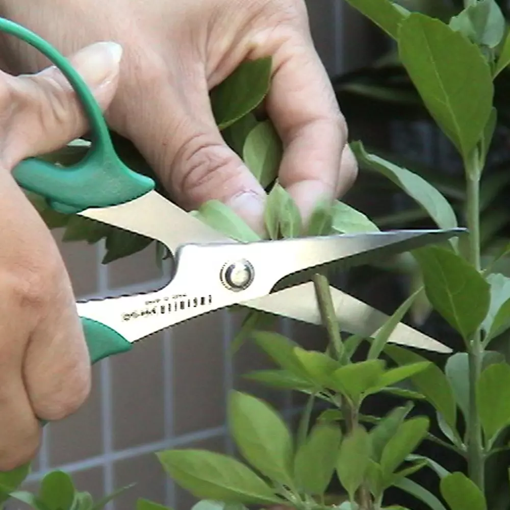 engineer-iron-arm-scissor-170-mm-overall-length-ph-50